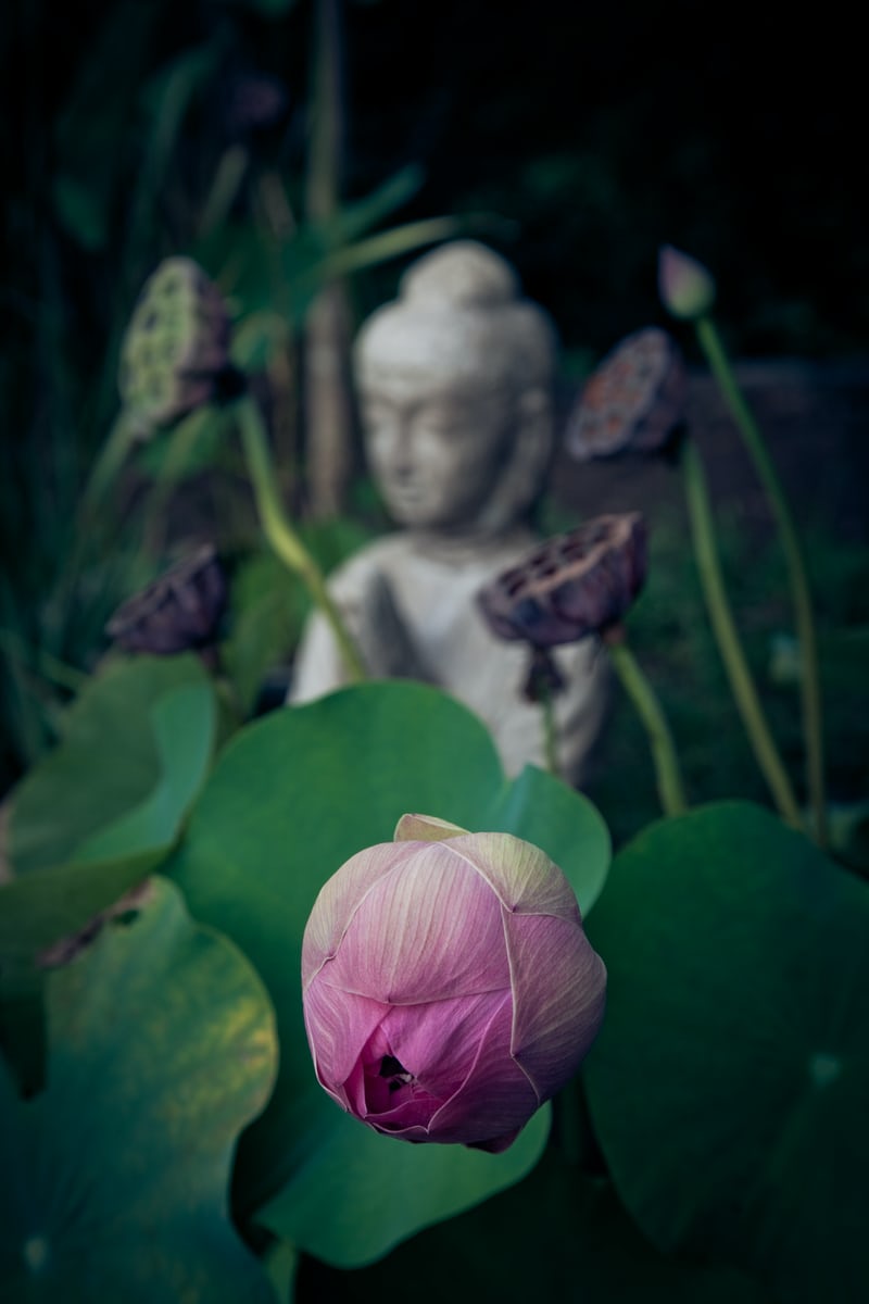 Meditation For Executives