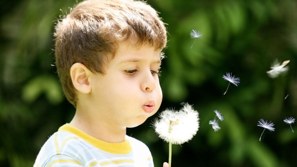 kid and dandelion