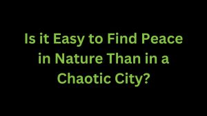 Read more about the article Is it Easy to Find Peace in Nature Than in a Chaotic City?