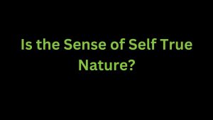 Read more about the article Is the sense of self true nature?