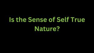 Read more about the article Is the sense of self true nature?