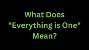 Read more about the article What Does “Everything is One” Mean?