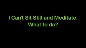 Read more about the article I Can’t Sit Still and Meditate. What to do?