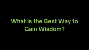 Read more about the article What is the Best Way to Gain Wisdom?