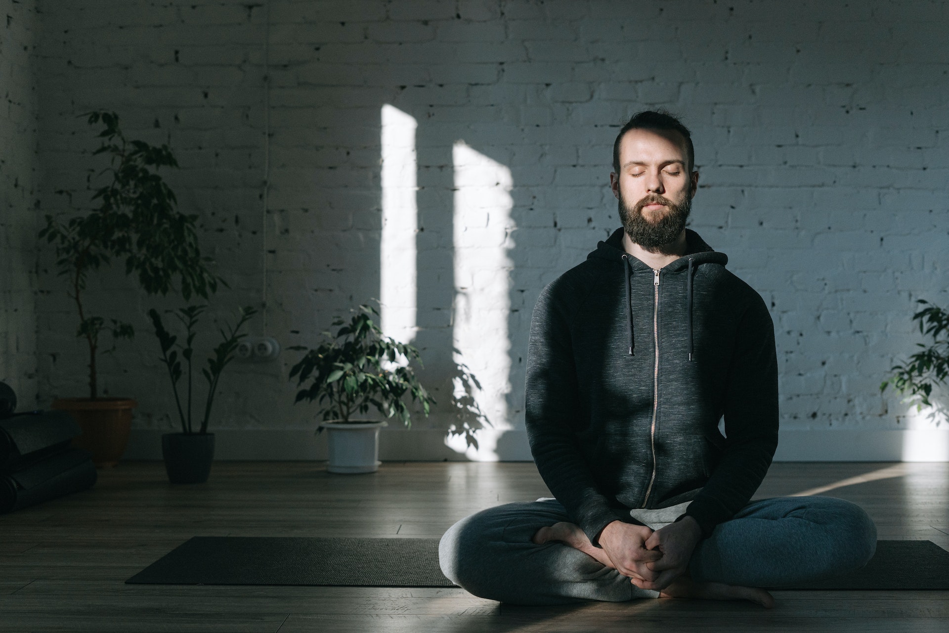 harvard study meditation