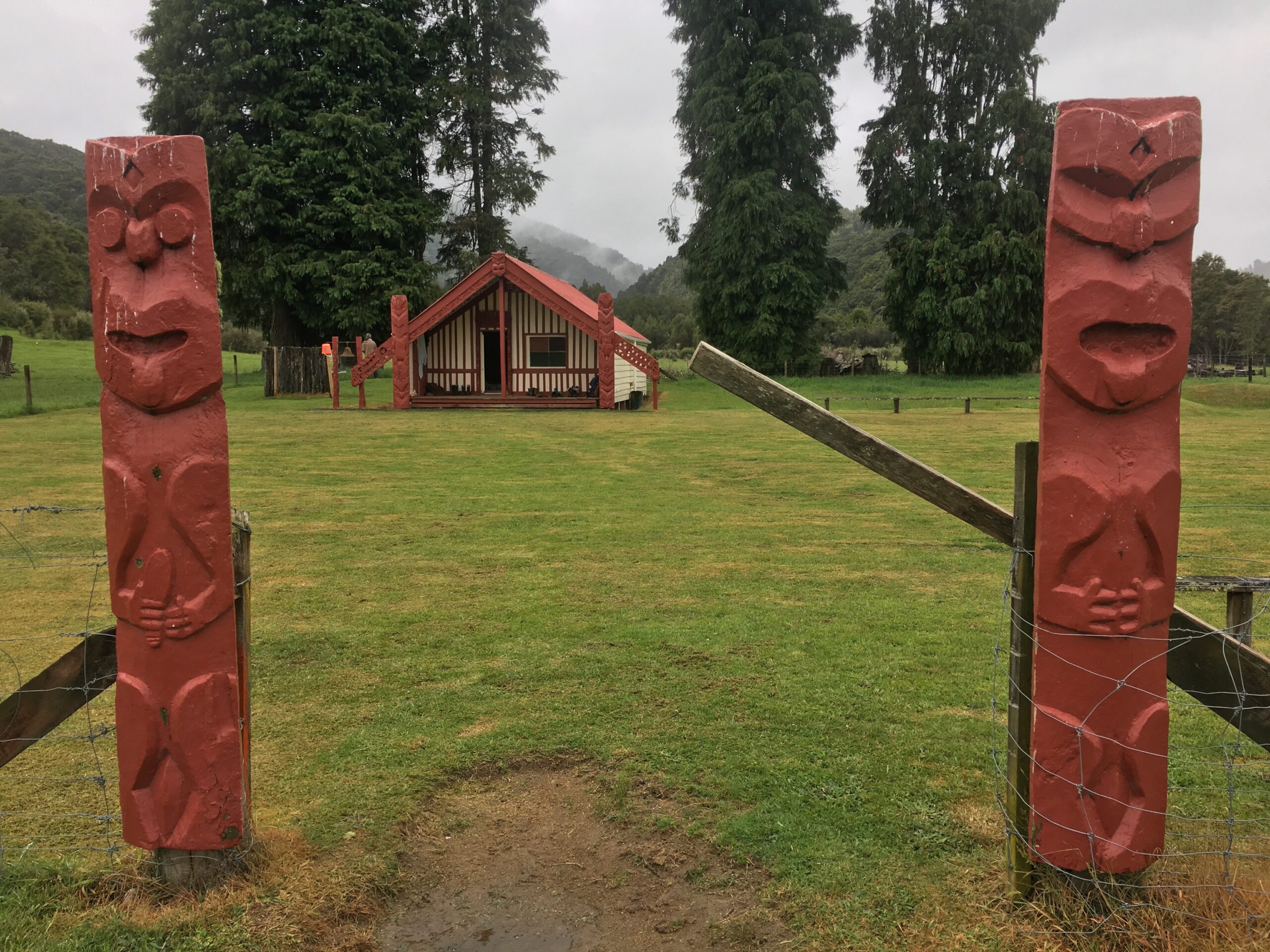 Todd in maori