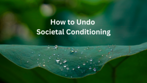Read more about the article How to Undo Societal Conditioning